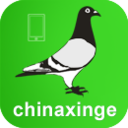 中信網-信鴿信息網 logo